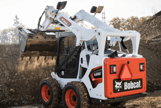 bobcat